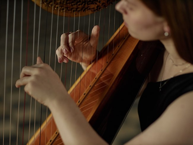 Un Concert Live au Cœur de la Soirée